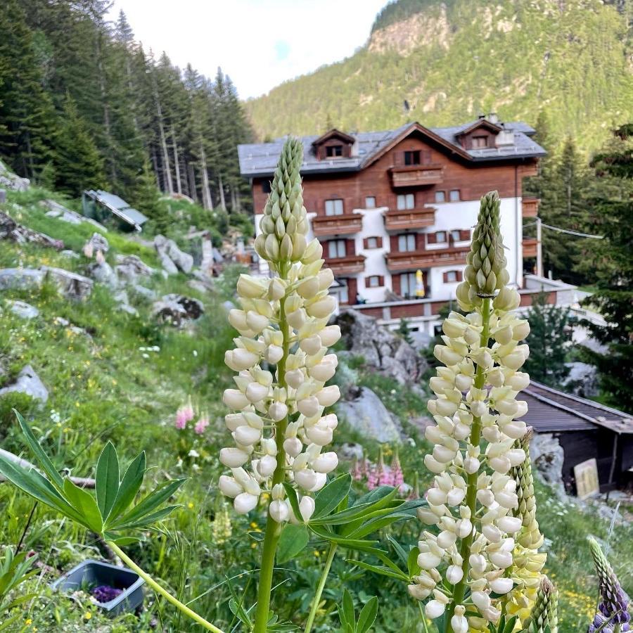 Hotel Gembro Chiesa in Valmalenco Luaran gambar